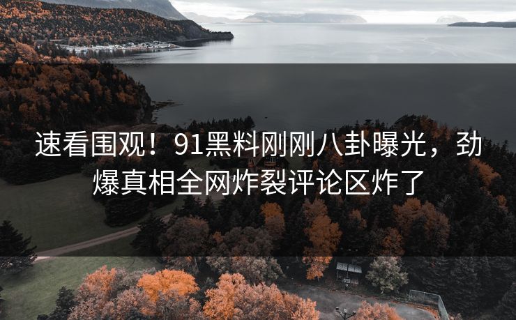 速看围观!91黑料刚刚八卦曝光,劲爆真相全网炸裂评论区炸了