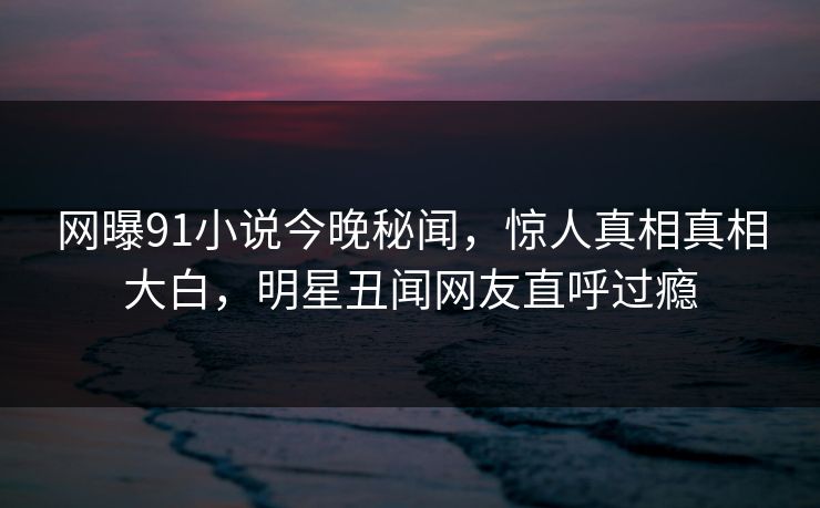 网曝91小说今晚秘闻，惊人真相真相大白，明星丑闻网友直呼过瘾